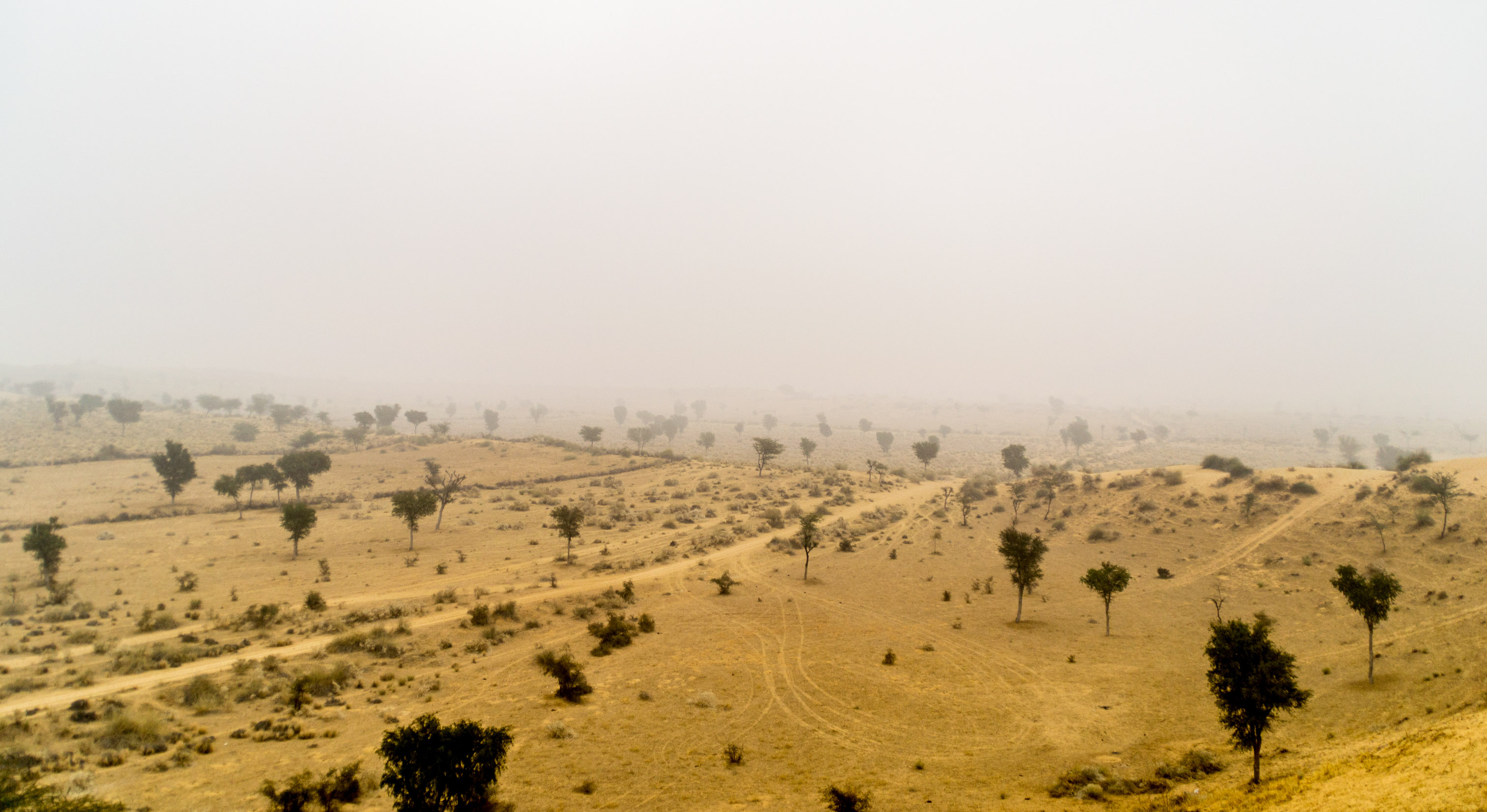 Barren Deserts enriched by Colorful People