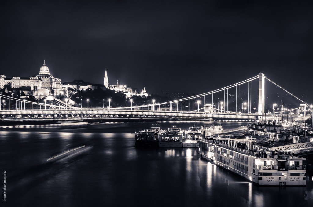 Cruises on the Danube near the Elisabeth Bridge Budapest