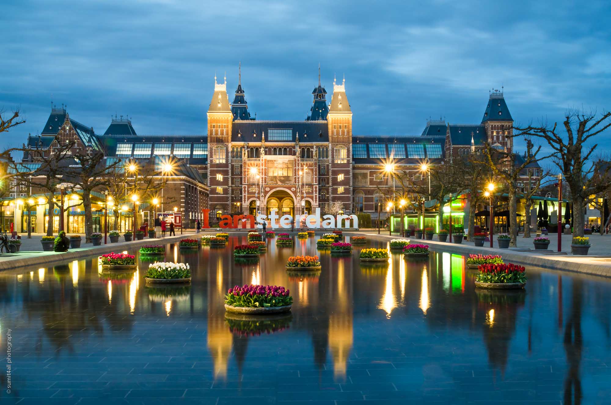 Tulips in front of the Rijksmuseum