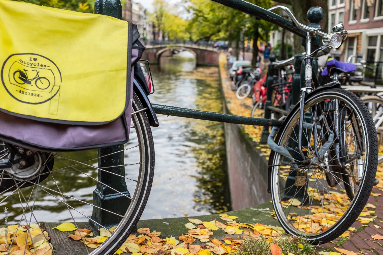 Bikes on a Bridge over a Canal in Amsterdam