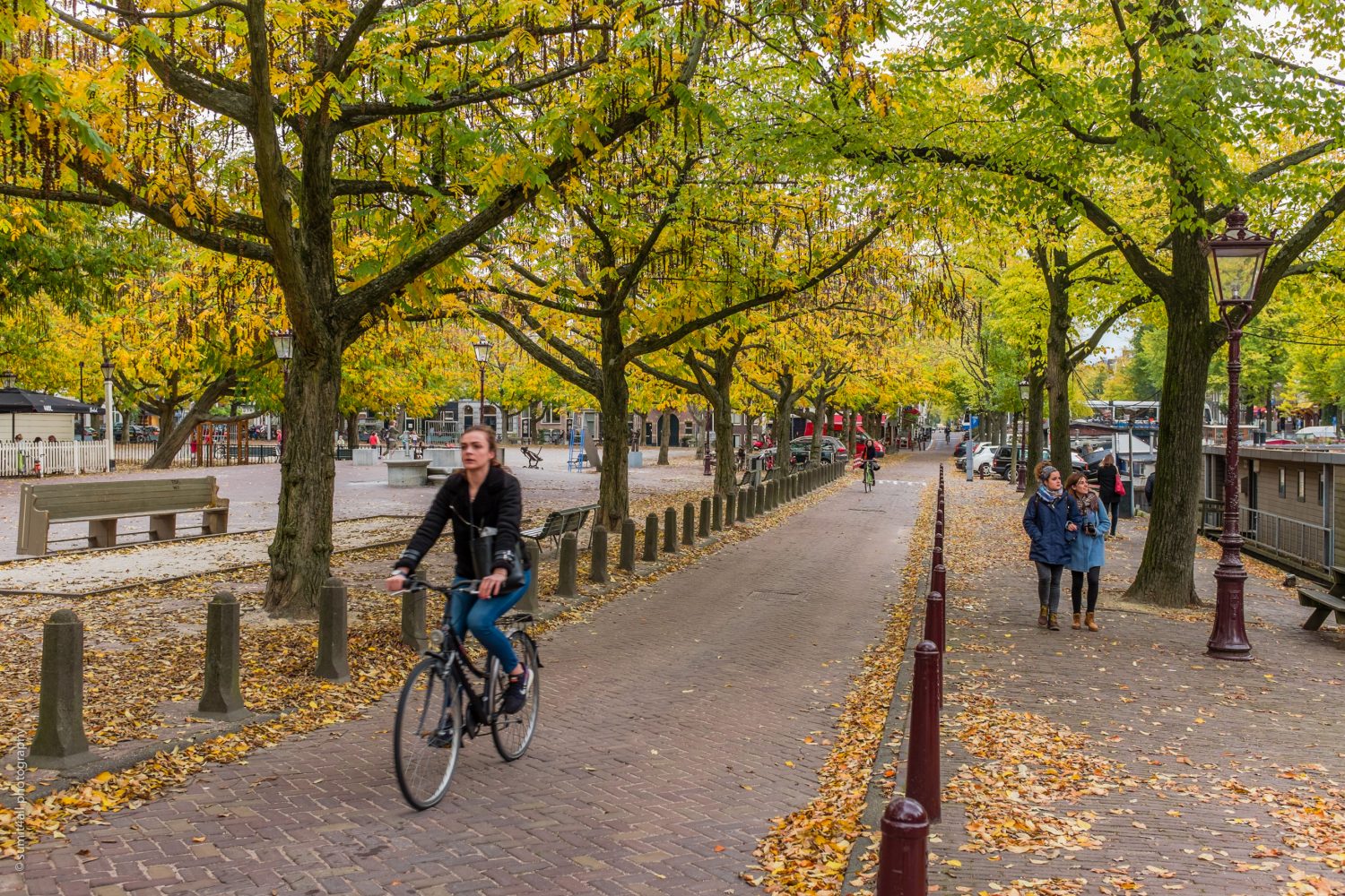 Biking in Amsterdam during Fall