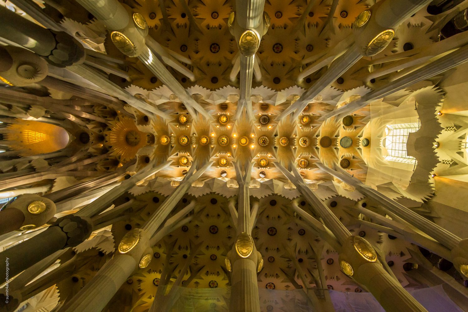 The inside of the Sagrada Familia with the remarkable roof in Barcelona Spain