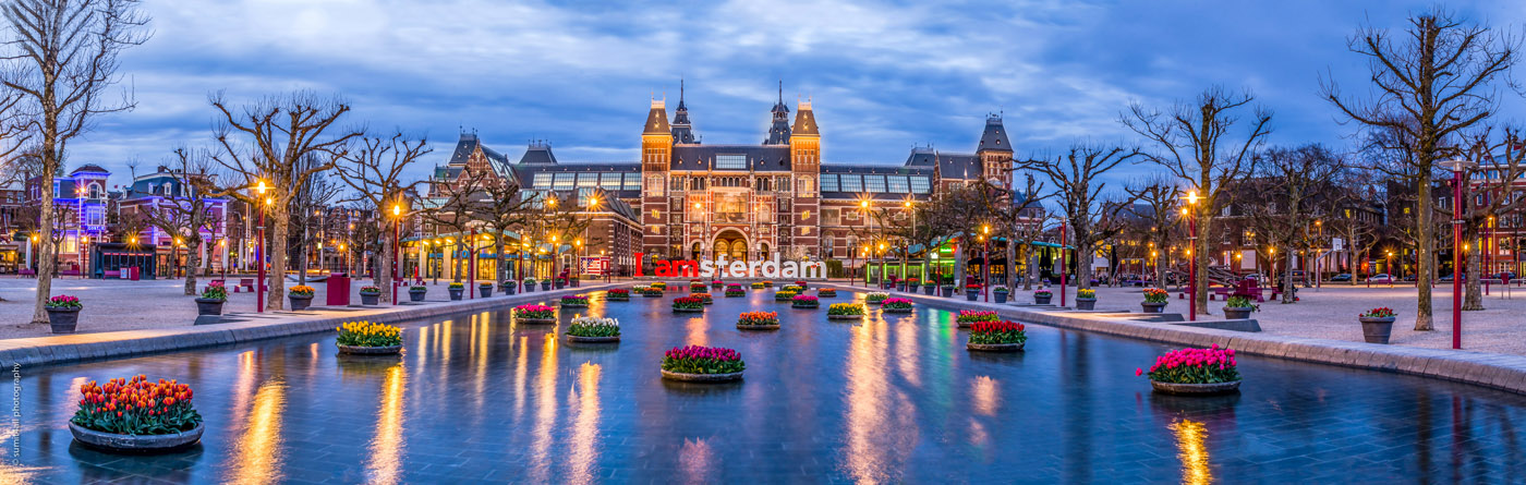 Tulips in front of the Rijksmuseum Amsterdam