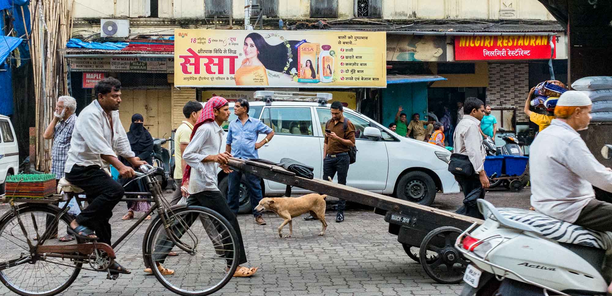 Chaos on the Street, Mumbai